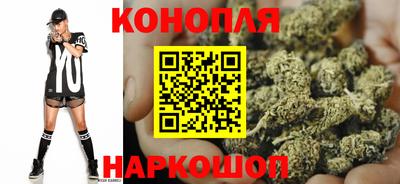 прущие грибы Лесосибирск