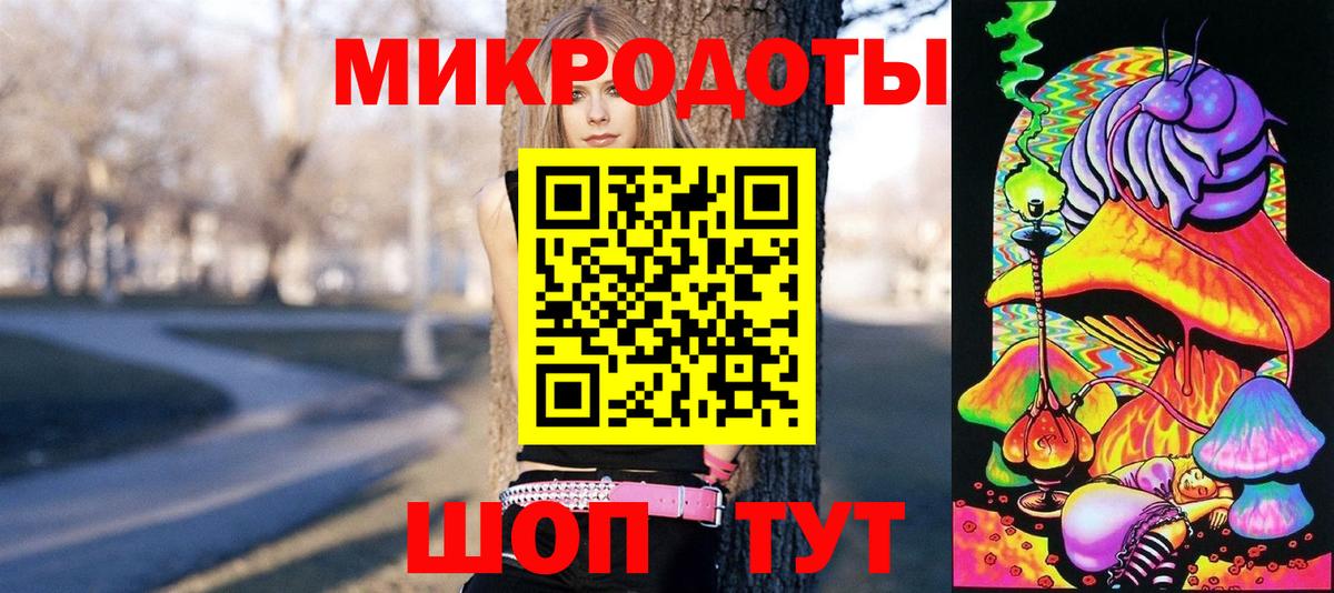 Галлюциногенные грибы Psilocybine cubensis  Вход с VPN  Псилоцибиновые грибы мицелий  Татарск 