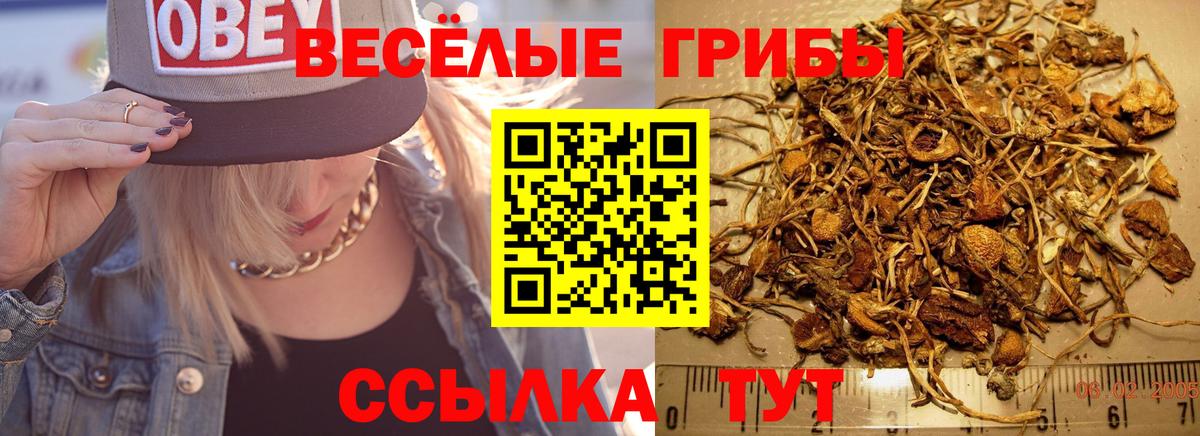 A-PVP Татарск