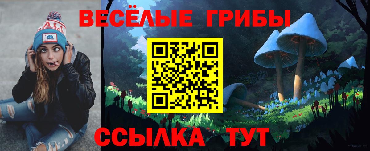 Галлюциногенные грибы мицелий Татарск
